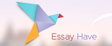 EssayHave review